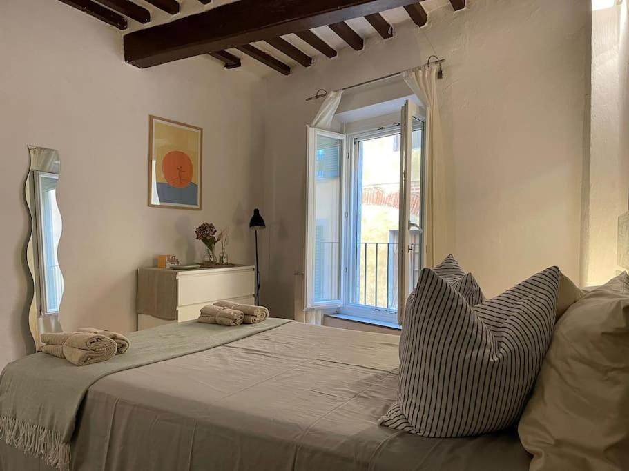 Casa Storica Nel Cuore Di Pisa - Lungarno Eksteriør bilde